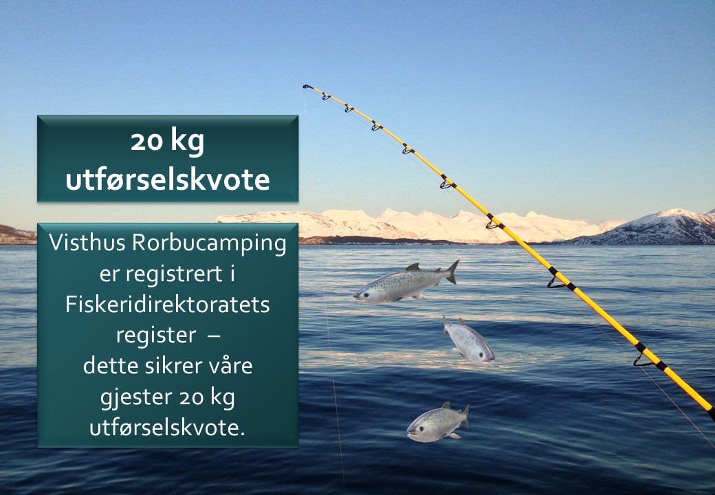 20 kg utførselskvote