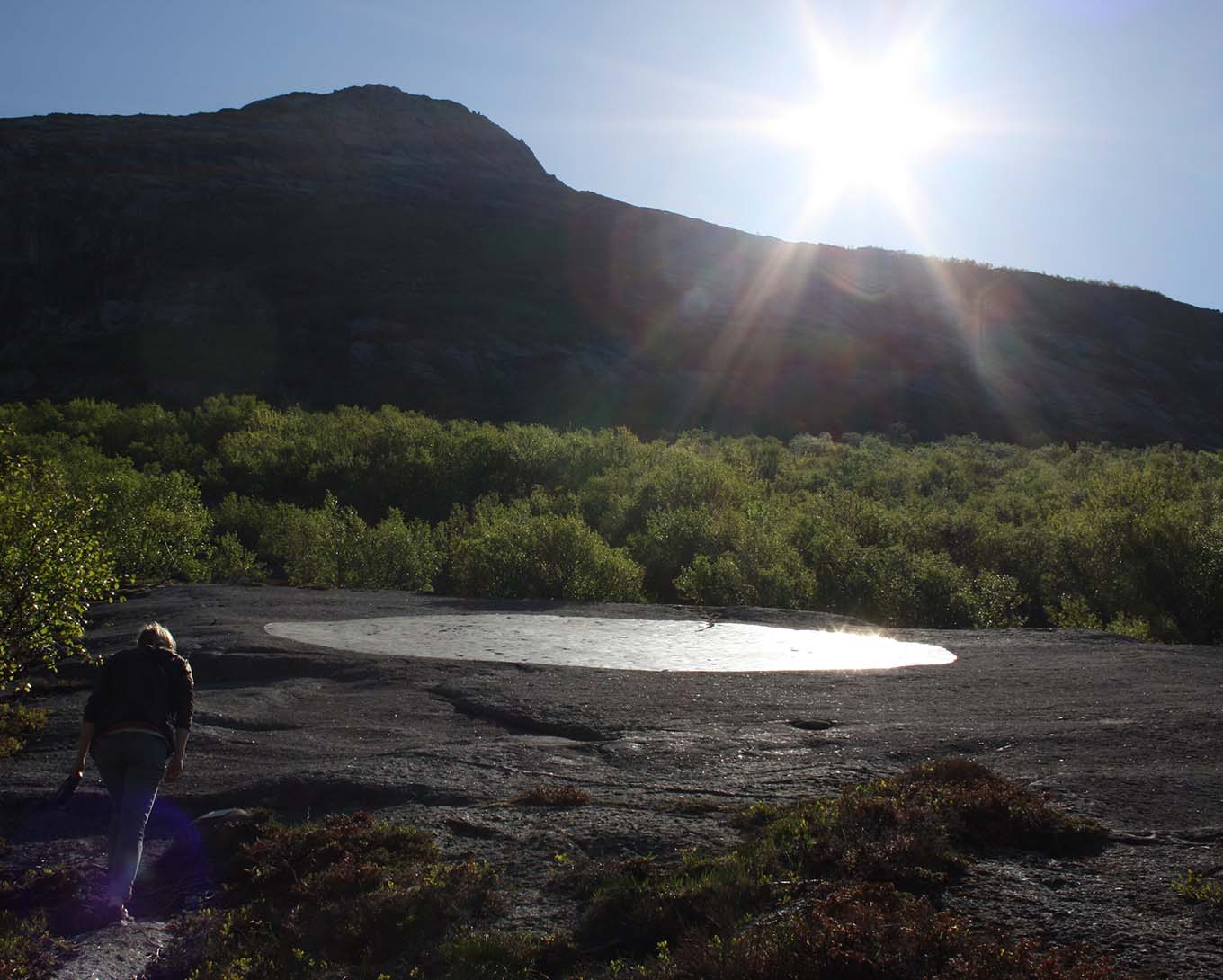 Nordland Sculpture Program