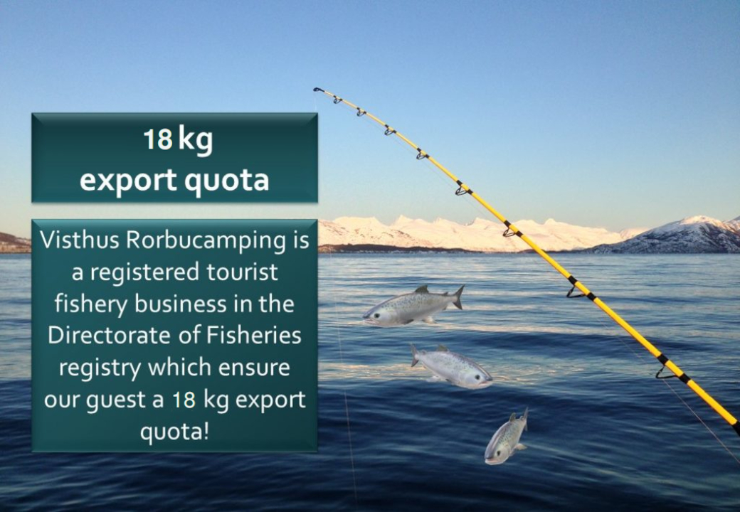 18 kg export quota